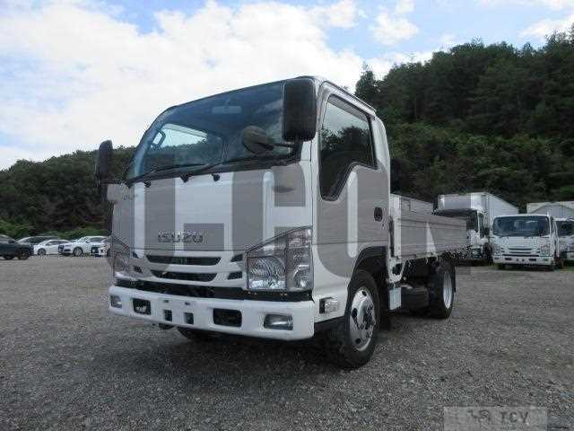 2019 Isuzu Elf Truck