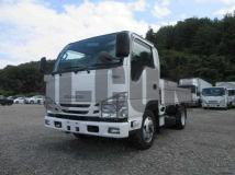 2019 Isuzu Elf Truck