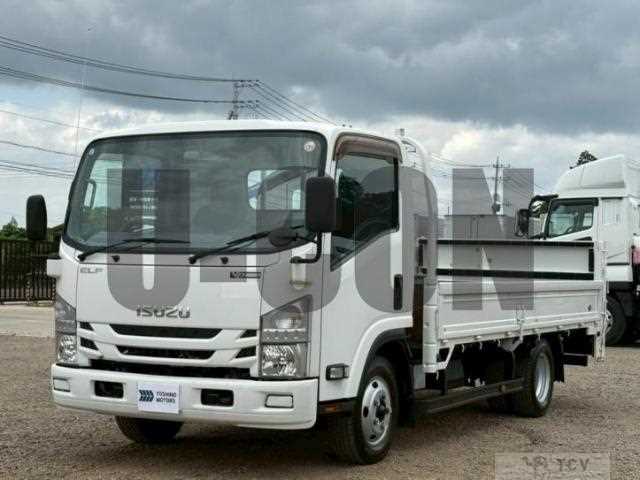 2019 Isuzu Elf Truck
