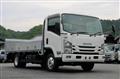 2021 Isuzu Elf Truck