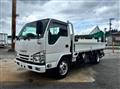 2020 Isuzu Elf Truck
