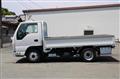 2019 Isuzu Elf Truck