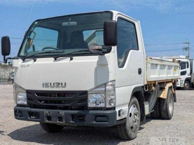 2019 Isuzu Elf Truck