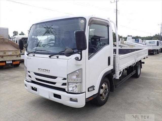 2019 Isuzu Elf Truck