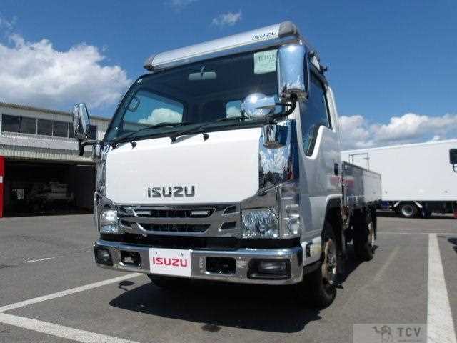 2018 Isuzu Elf Truck