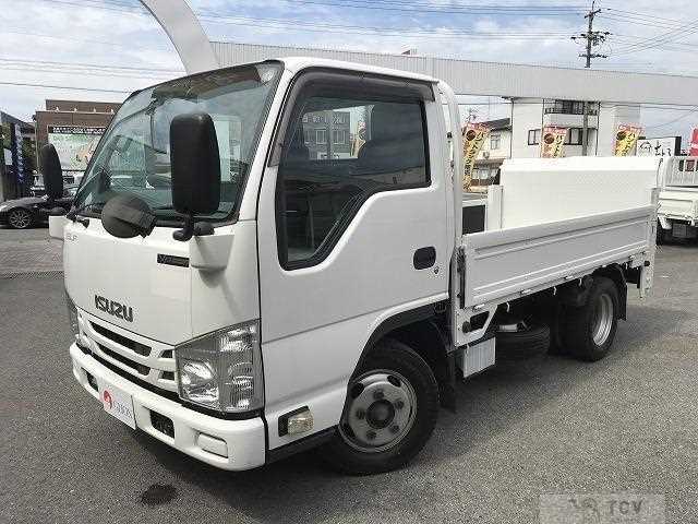 2019 Isuzu Elf Truck