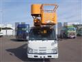 2010 Isuzu Elf Truck