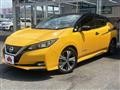 2019 Nissan Leaf