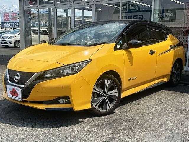 2019 Nissan Leaf