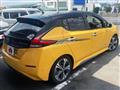 2019 Nissan Leaf