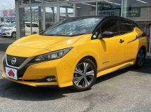 2019 Nissan Leaf