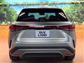 2025 Lexus RX
