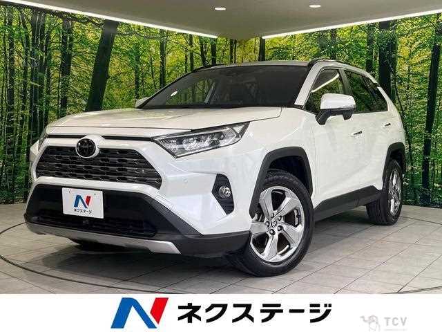 2019 Toyota RAV4