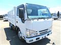 2018 Isuzu Elf Truck