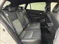 2024 Toyota Harrier