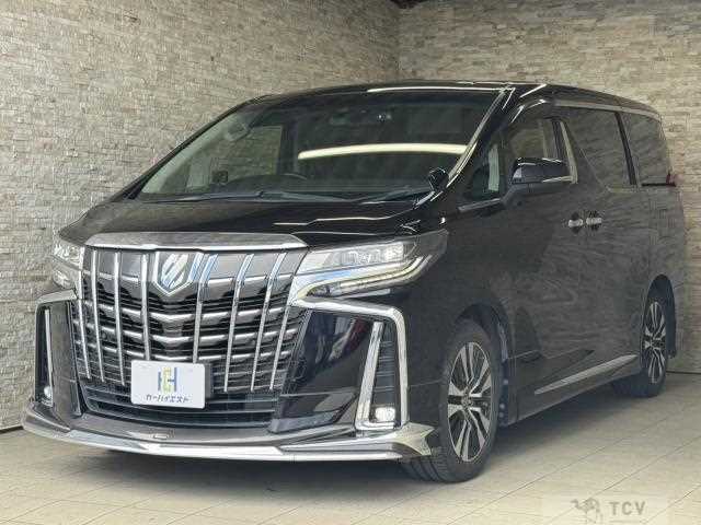 2019 Toyota Alphard G