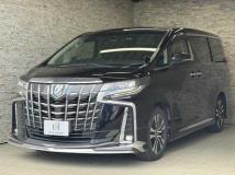 2019 Toyota Alphard G