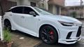 2025 Lexus RX