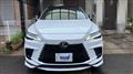 2025 Lexus RX