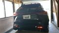 2025 Lexus RX
