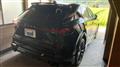 2025 Lexus RX