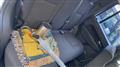 2011 Jeep Cherokee