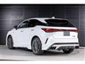 2025 Lexus RX