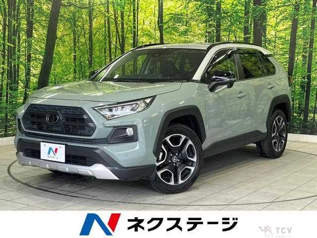 2019 Toyota RAV4