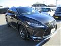 2020 Lexus RX