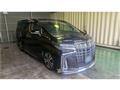 2020 Toyota Alphard G