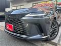 2025 Lexus RX