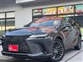 2025 Lexus RX