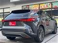 2025 Lexus RX