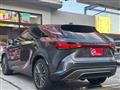 2025 Lexus RX