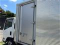 2017 Isuzu Elf Truck