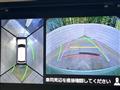 2017 Suzuki Lapin