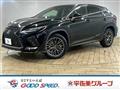 2021 Lexus RX