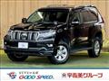 2020 Toyota Land Cruiser Prado