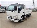 2017 Isuzu Elf Truck
