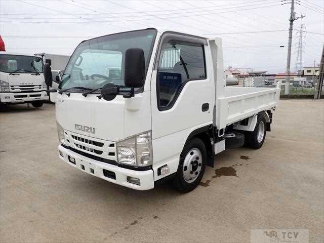 2017 Isuzu Elf Truck
