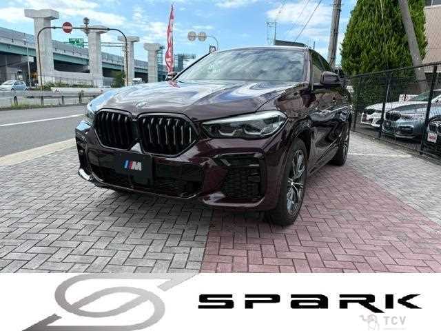 2022 BMW X6