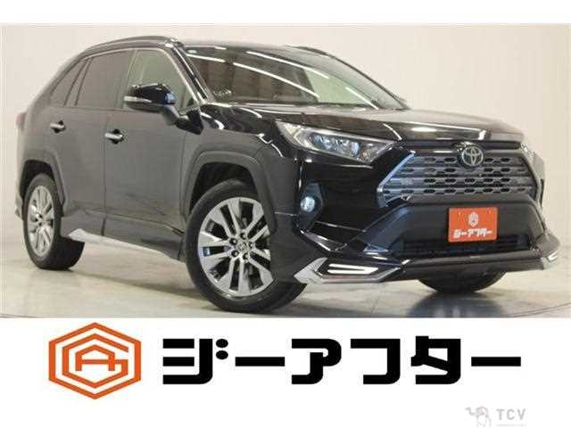 2019 Toyota RAV4