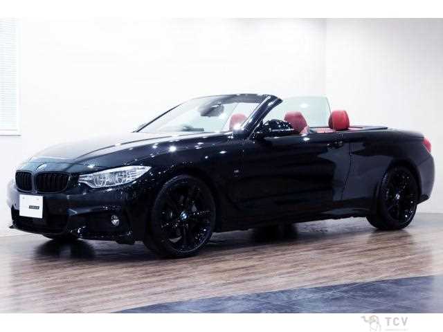 2017 BMW BMW Others