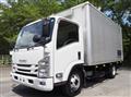 2019 Isuzu Elf Truck