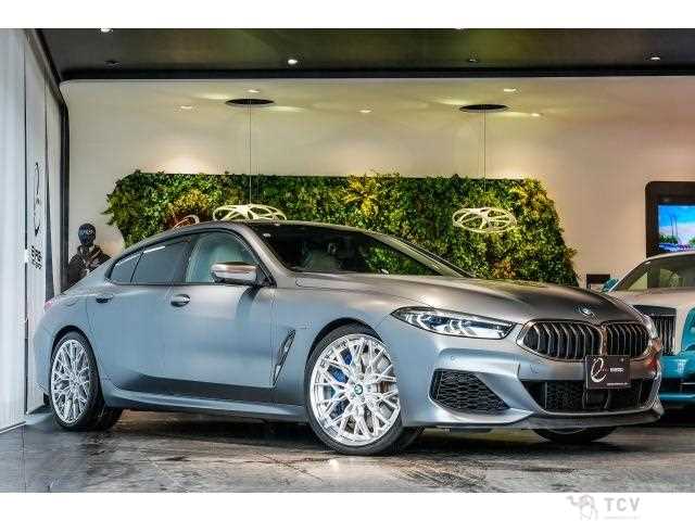 2019 BMW 8 Series