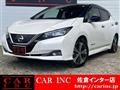 2018 Nissan Leaf