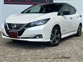 2018 Nissan Leaf