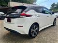 2018 Nissan Leaf
