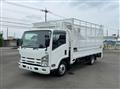 2010 Isuzu Elf Truck