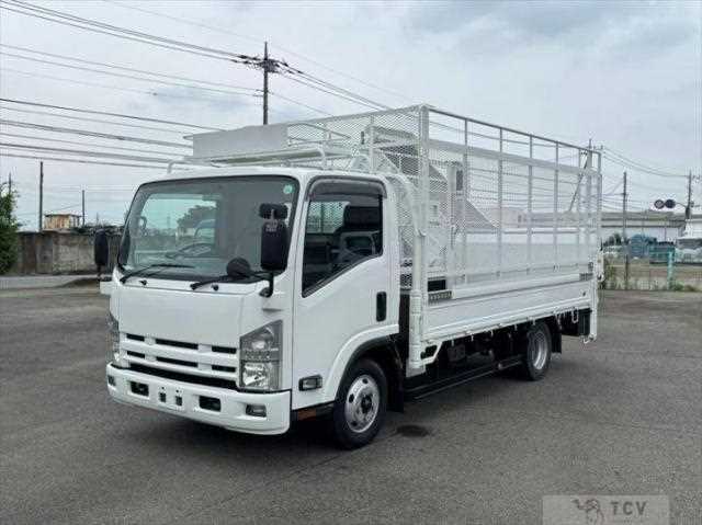 2010 Isuzu Elf Truck